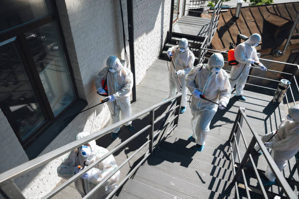 Best Real Estate Mold Inspection  in Rochester, IN