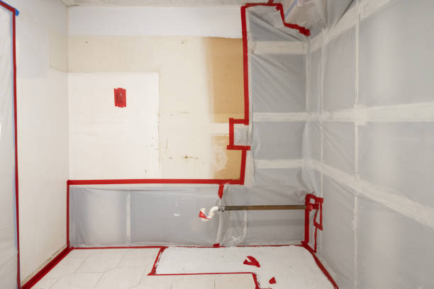 Best Asbestos and Lead Testing During Mold Inspection  in Rochester, IN