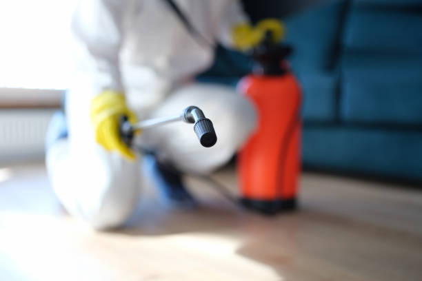 Best HVAC Mold Inspection and Cleaning  in Rochester, IN