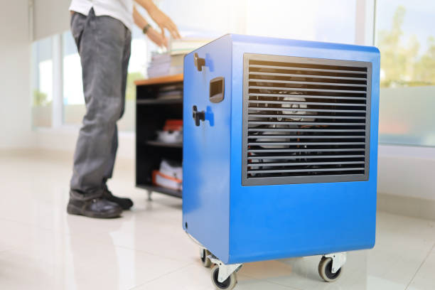 Best Mold Prevention Services  in Rochester, IN