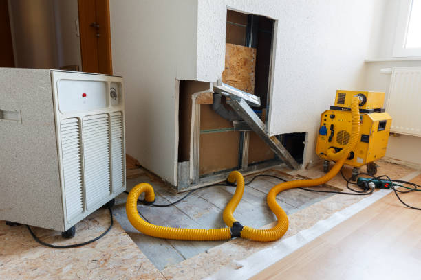 Best Crawl Space Mold Remediation  in Rochester, IN