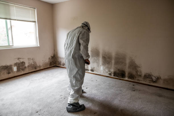 Best Airborne Mold Testing  in Rochester, IN
